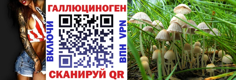 Псилоцибиновые грибы Psilocybine cubensis  Билибино 